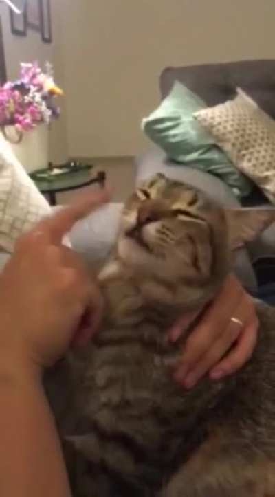 Лучше мой давай