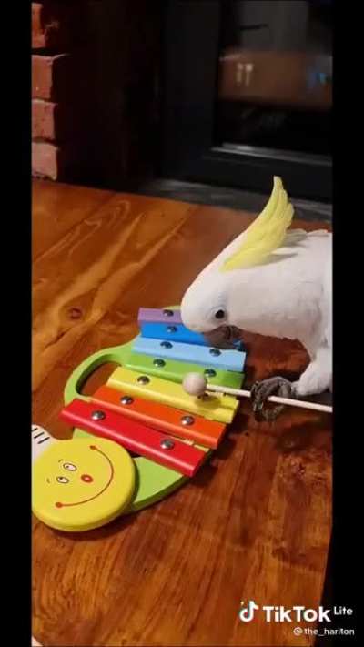 music education