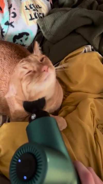 Raja is so spoiled