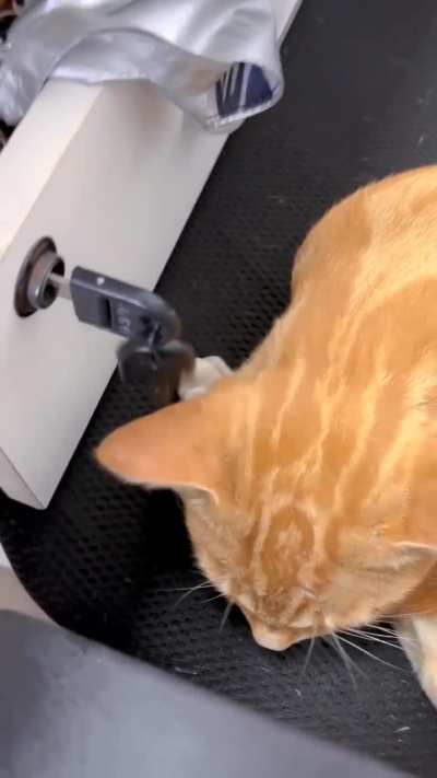 I believe we have solved the energy crisis