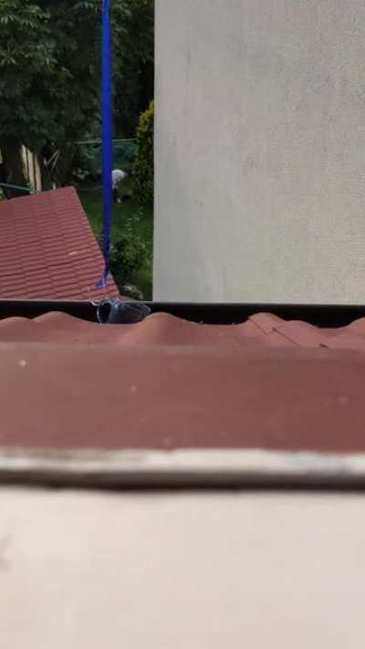Rescuing ashtray