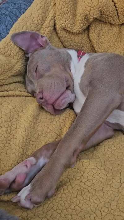 She is sleeping..sound on