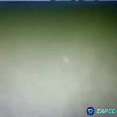 Creeper anão