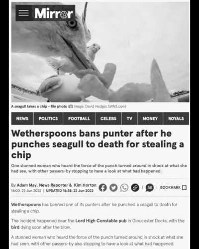 don't steal chips