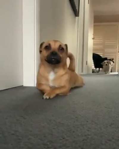 suspicious boi