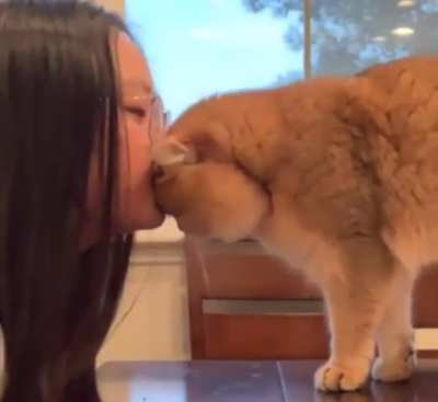 Smooch