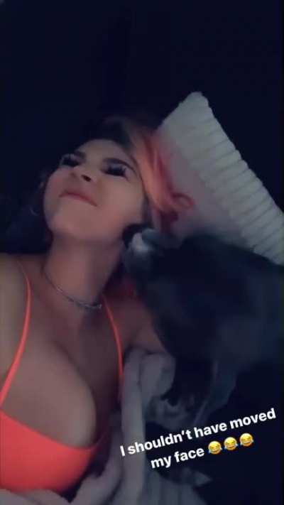 That dog¡