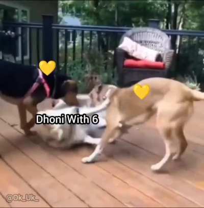Bitter truth