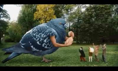 this gif shows you how beautiful life is
