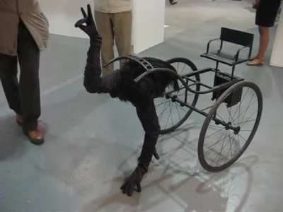 Alternative pet ostrich