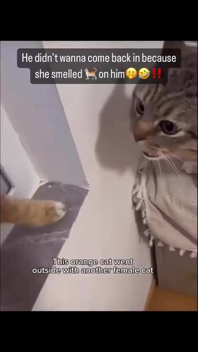 Mama is mad