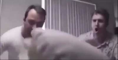 Blursed Pillow Fight
