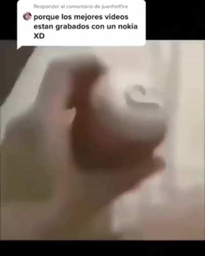 cuál es su favorito?