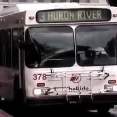 Michigan buses