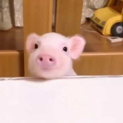 Look at that smile!!