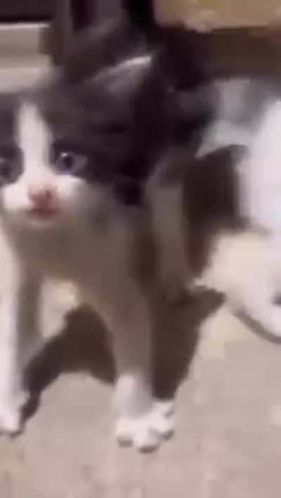 HUH