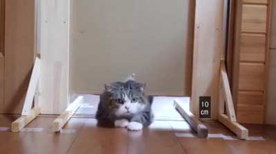Just watering down the stairs