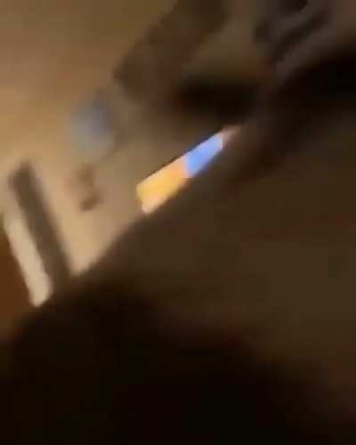 What the dog doin?