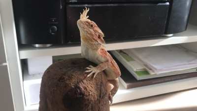 Hi you all!