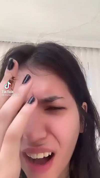 Рефлекс