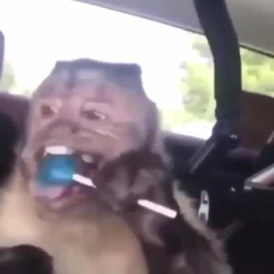 Monke Eat Candy