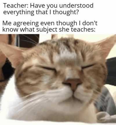 I haven't learned shit in online classes