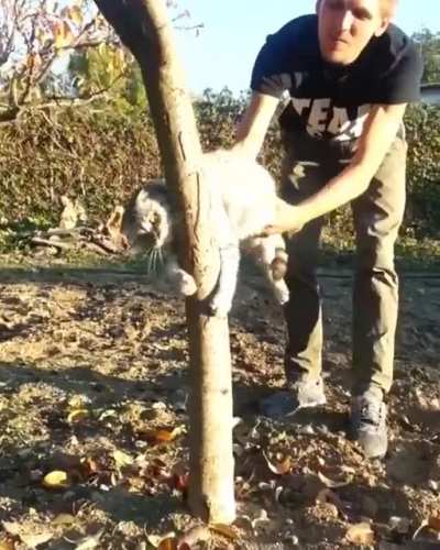 No don’t take me, this is my home now!