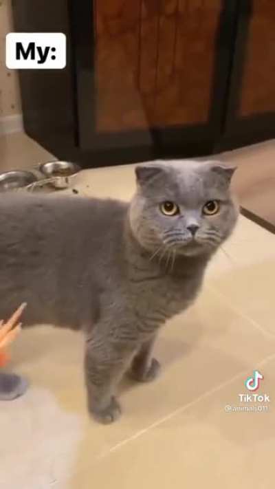 Yum