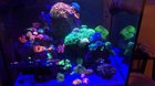 Some new additions to the 96g