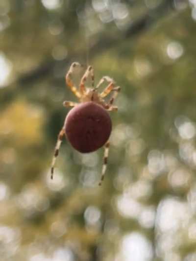Startled this beauty