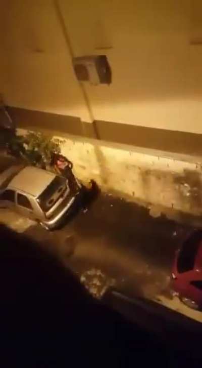Siz siz olun asla apartman boşluğuna işemeyin her yerin ıslanıyor amk böyle işin..