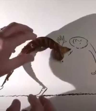 Shadow art
