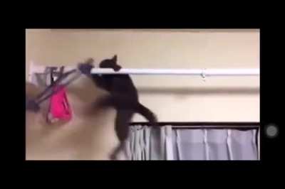 Closer hanging rack