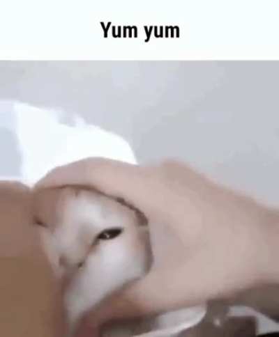 Wait what are you eating?