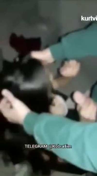 Çatır çutur