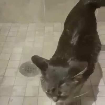 Water is her best friend.