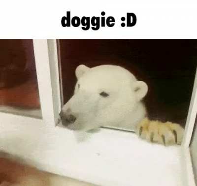 Rule :D