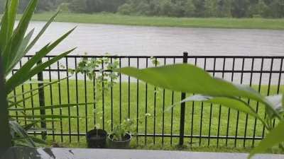 Florida summer rain is bliss in the morning
