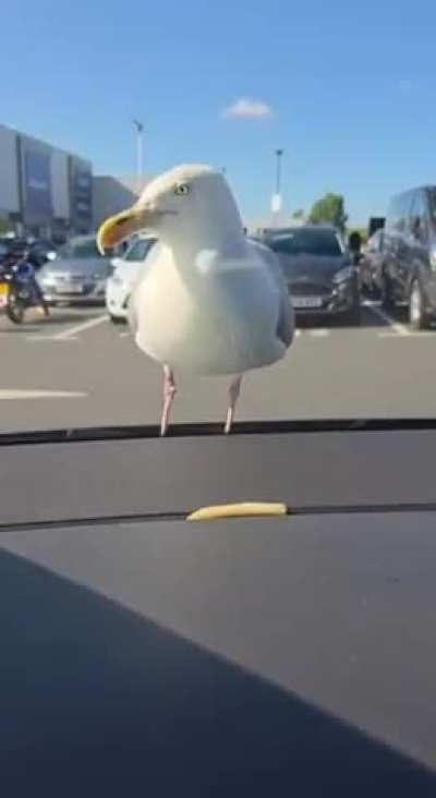 Funny AI Video