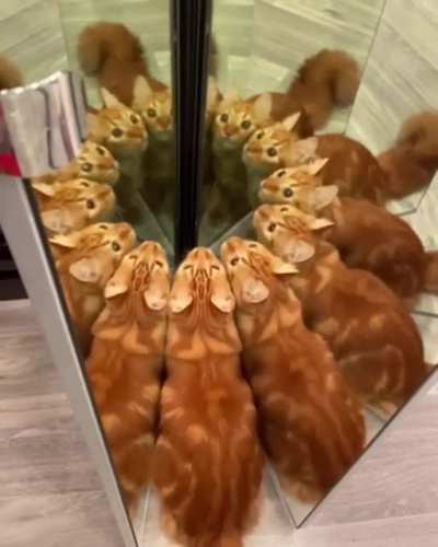 I'd like to enter that dimension.
