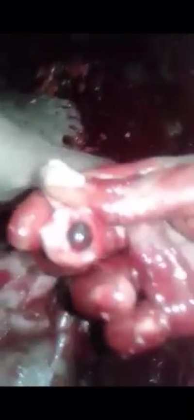 Jesus<wbr>...(W<wbr>arnin<wbr>g: Very Graphic)