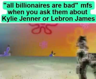curious monkey behavior after the billionaire submarine deaths