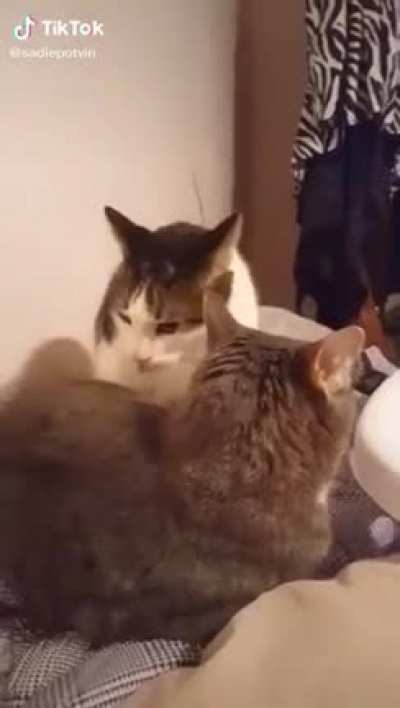 just a small bite!!