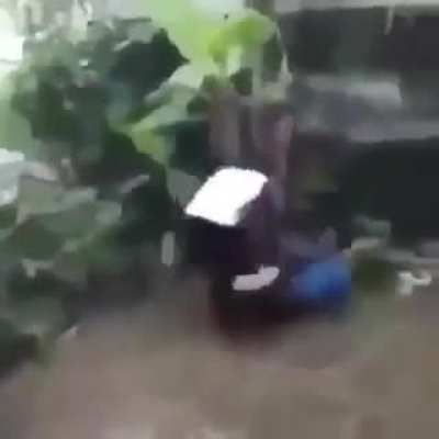 my favourite fight ever