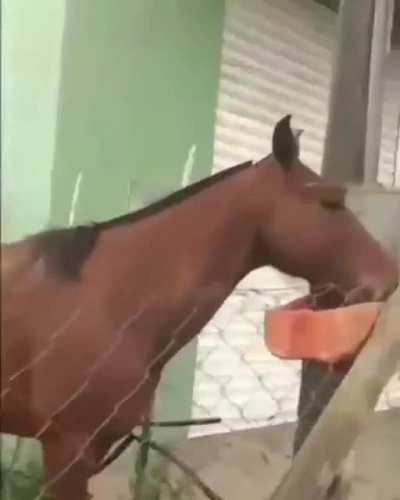Hello humano