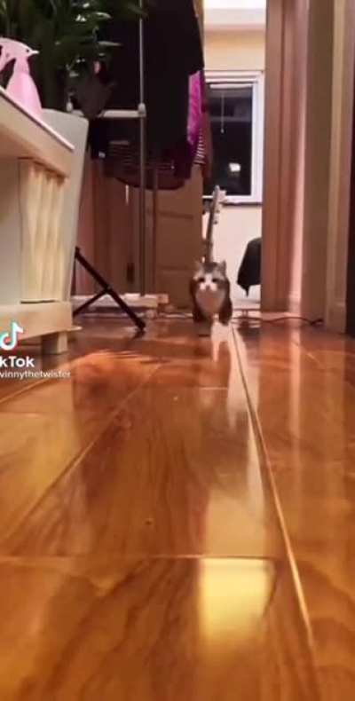 Тыгды<wbr>к-тык<wbr>дык