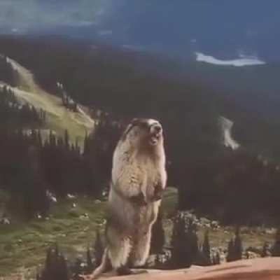 AAAAAAAAAAAAAAAAA