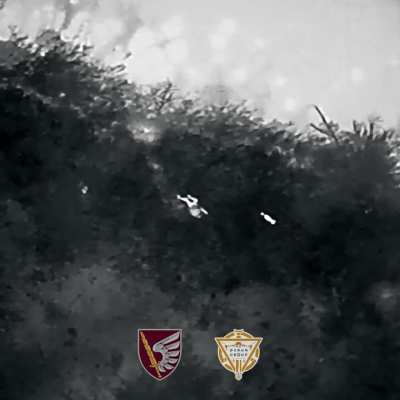UA 79th Air Assault Brigade's 