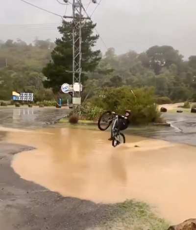 wheelie