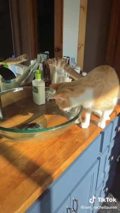 Owner sneaks up on cat!